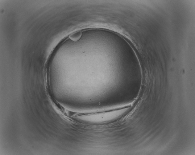 X0000068741511200605051438