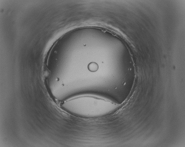 X0000068741512200605051438