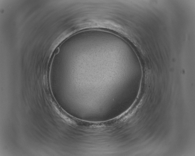 X0000068741513200605051438