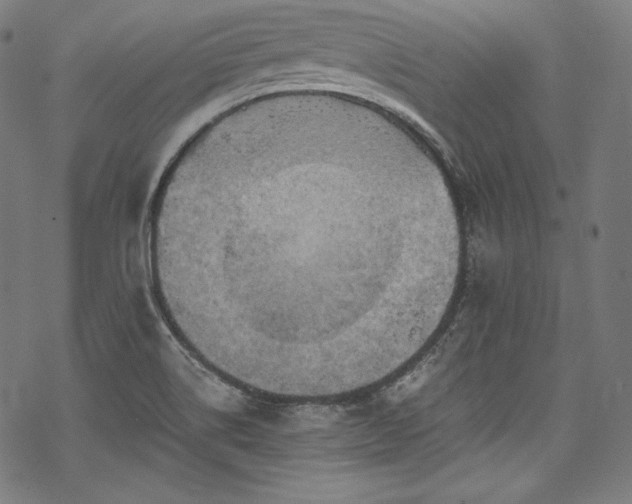 X0000068741514200605051438