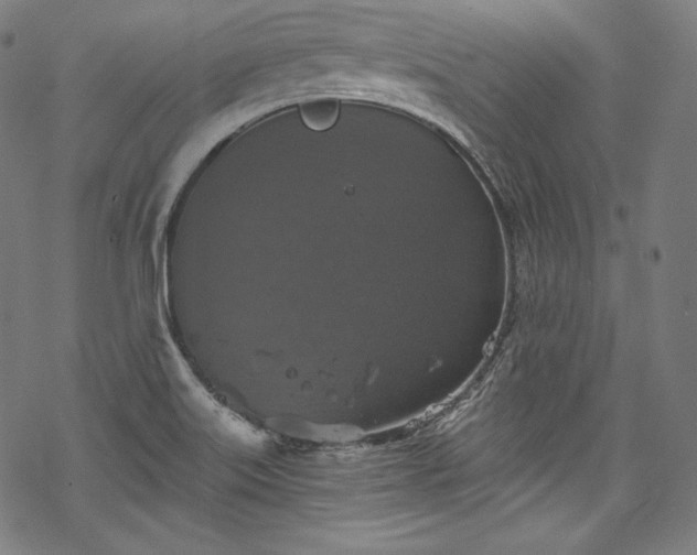 X0000068741515200605051438