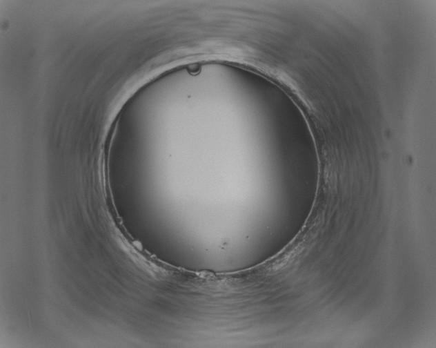 X0000068741516200605051438