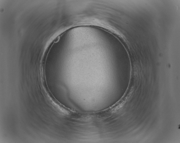 X0000068741517200605051438