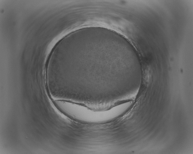 X0000068741519200605051438