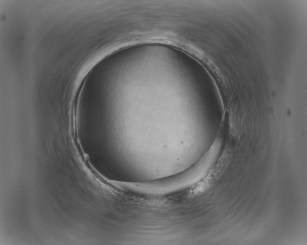 X0000068741520200605051438