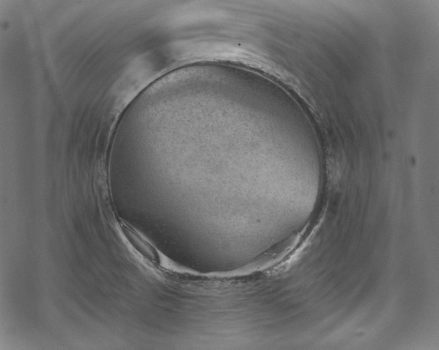 X0000068741521200605051438