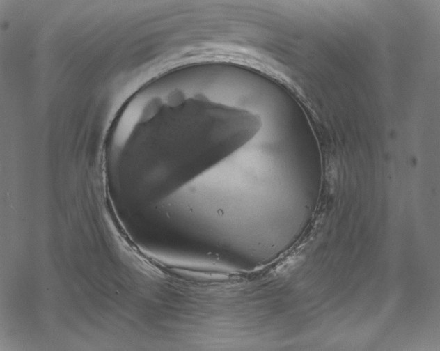 X0000068741522200605051438