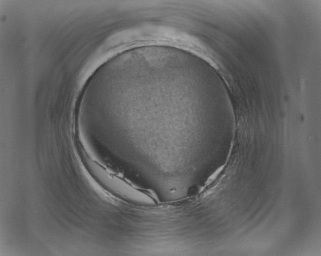 X0000068741523200605051438