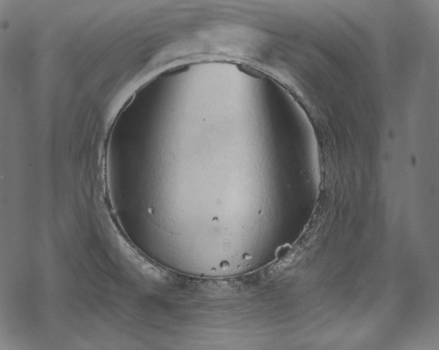 X0000068741524200605051438