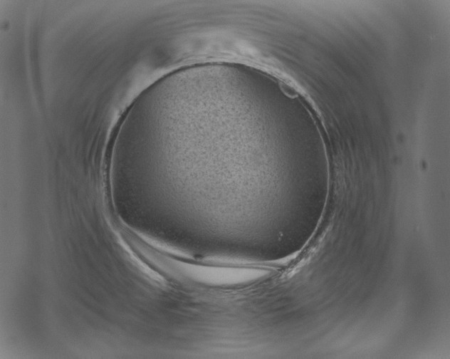 X0000068741525200605051438