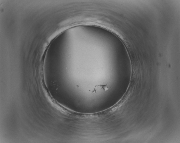 X0000068741526200605051438