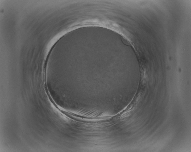 X0000068741527200605051438