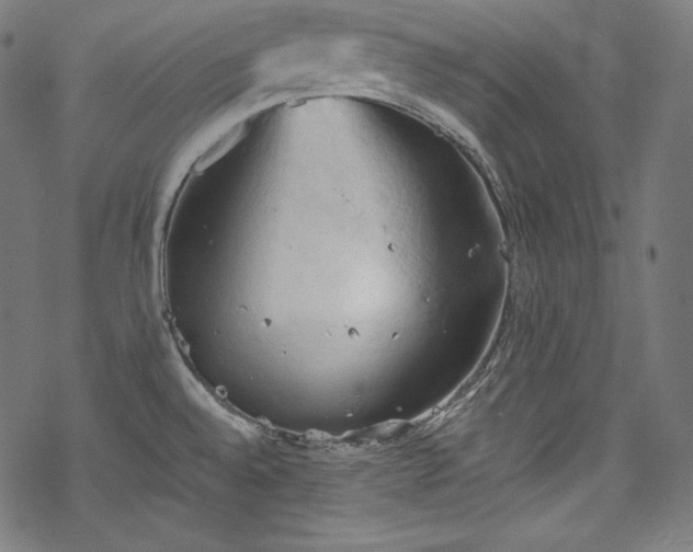 X0000068741528200605051438