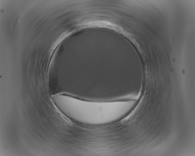 X0000068741529200605051438