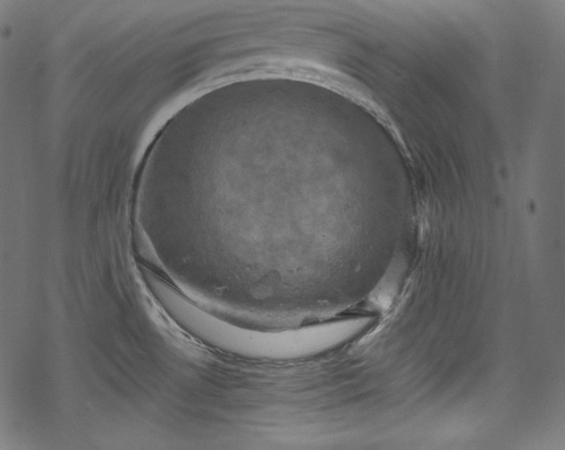 X0000068741530200605051438