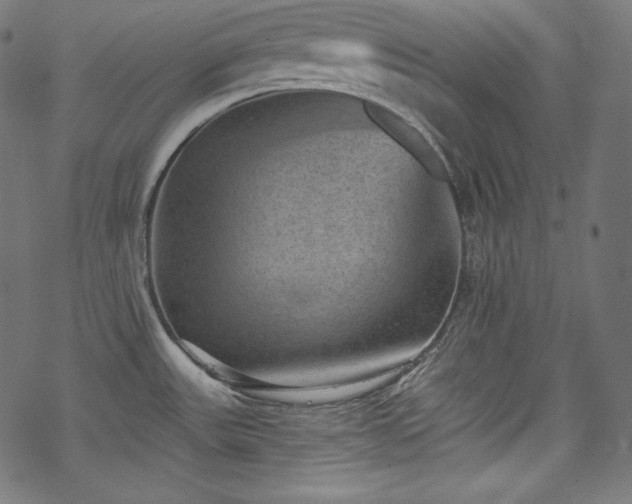 X0000068741531200605051438