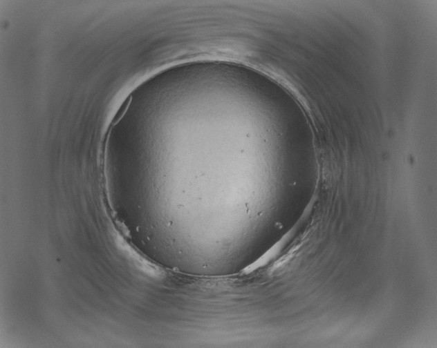 X0000068741532200605051438