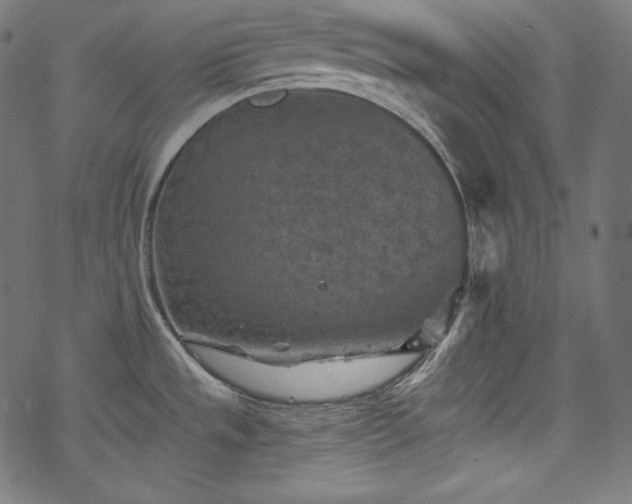 X0000068741533200605051438