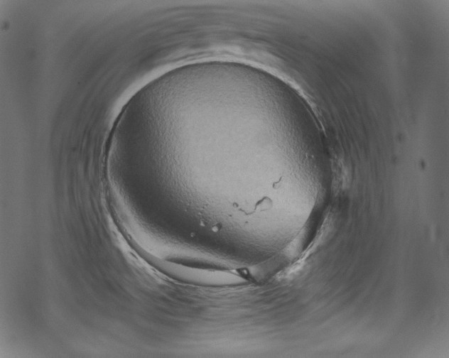 X0000068741534200605051438