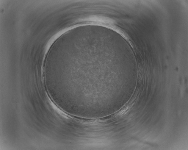 X0000068741535200605051438