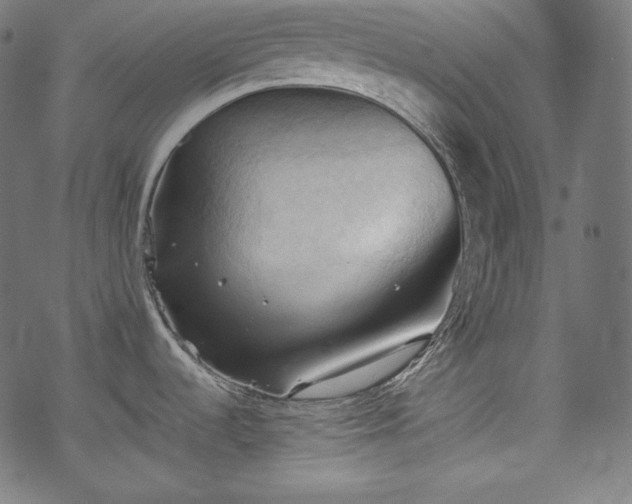 X0000068741536200605051438