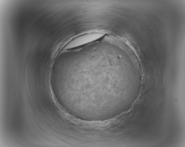 X0000068740001200605121556