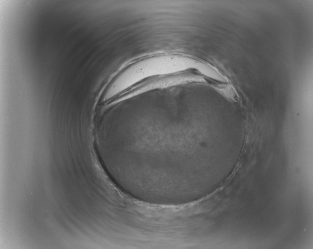 X0000068740002200605121556