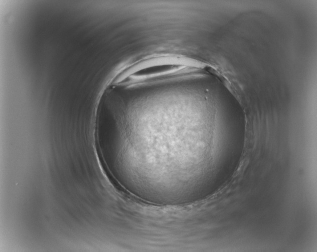 X0000068740003200605121556