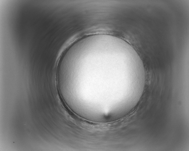 X0000068740004200605121556