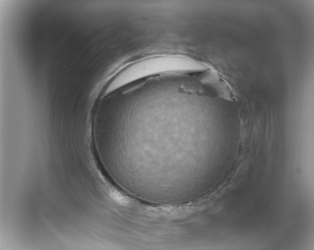 X0000068740005200605121556