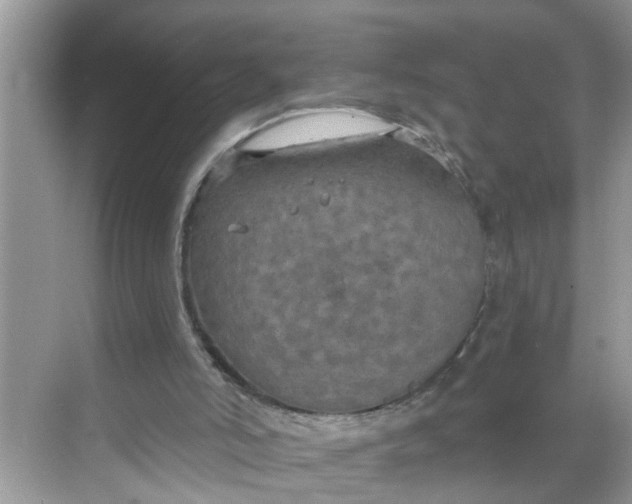 X0000068740006200605121556