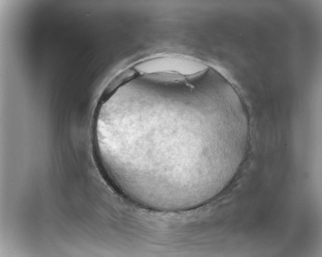 X0000068740007200605121556