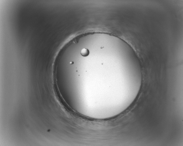 X0000068740008200605121556