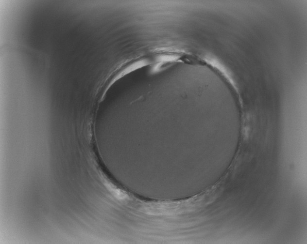 X0000068740009200605121556