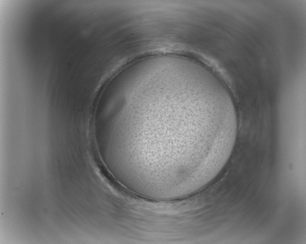 X0000068740010200605121556