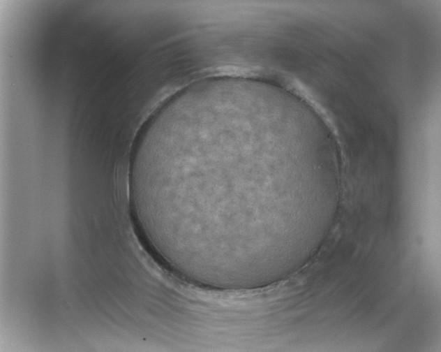 X0000068740011200605121556