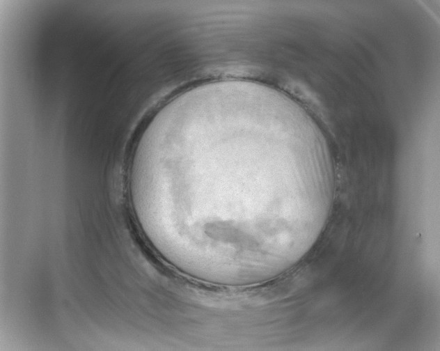 X0000068740012200605121556