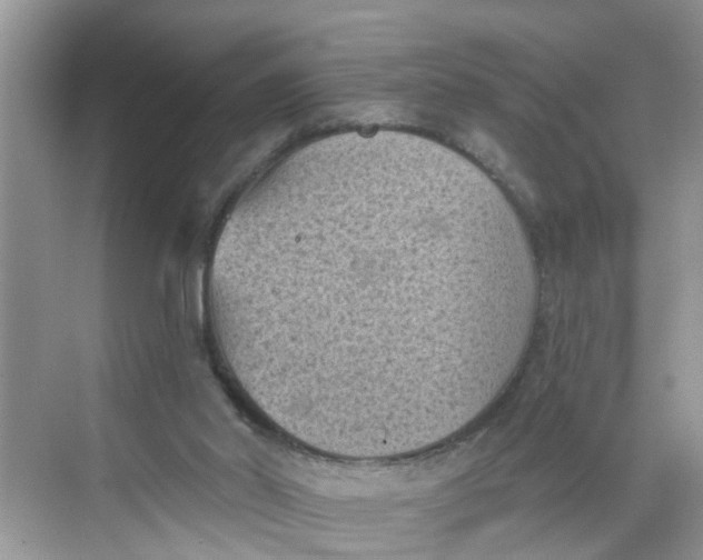 X0000068740014200605121556