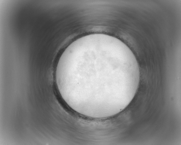 X0000068740016200605121556