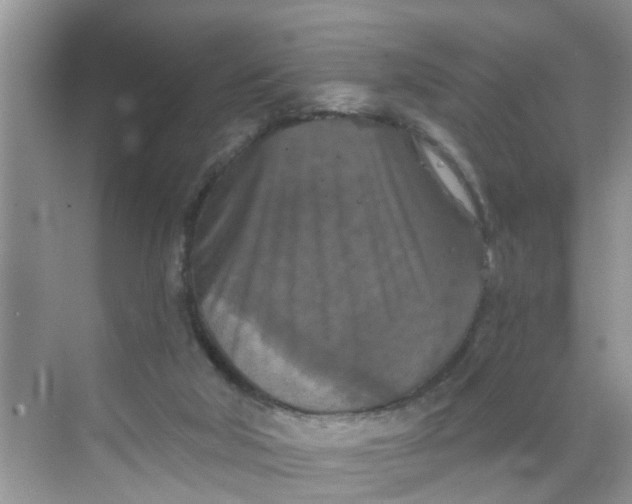 X0000068740018200605121555