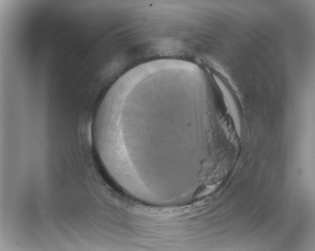 X0000068740019200605121555