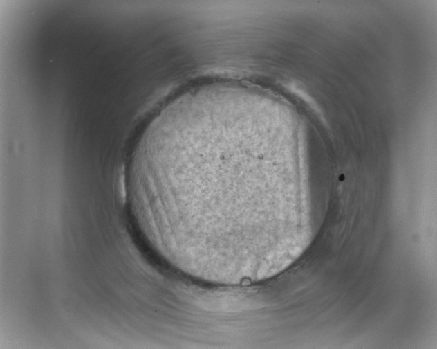 X0000068740020200605121555