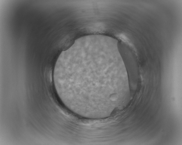 X0000068740021200605121555