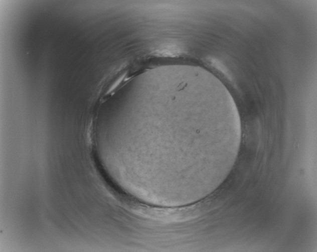 X0000068740023200605121555