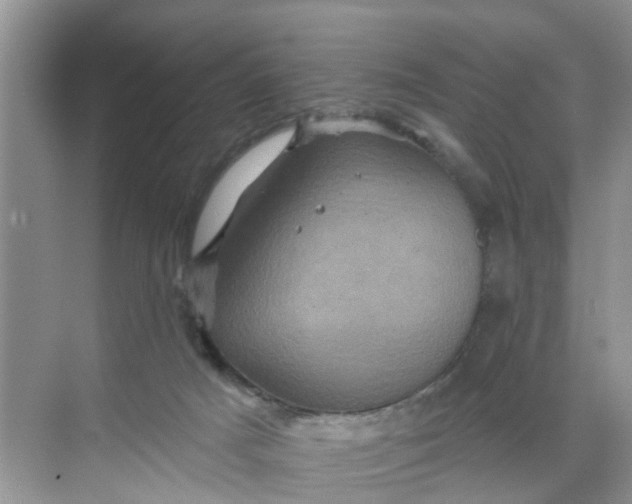 X0000068740025200605121555