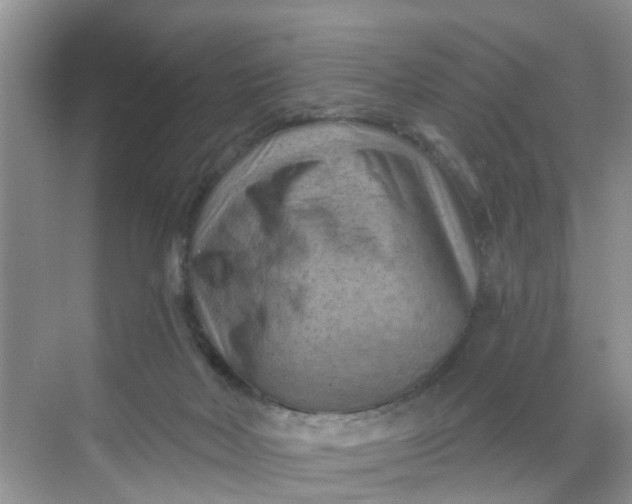 X0000068740026200605121555