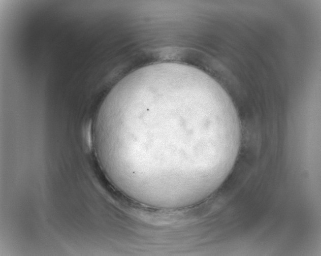 X0000068740028200605121555