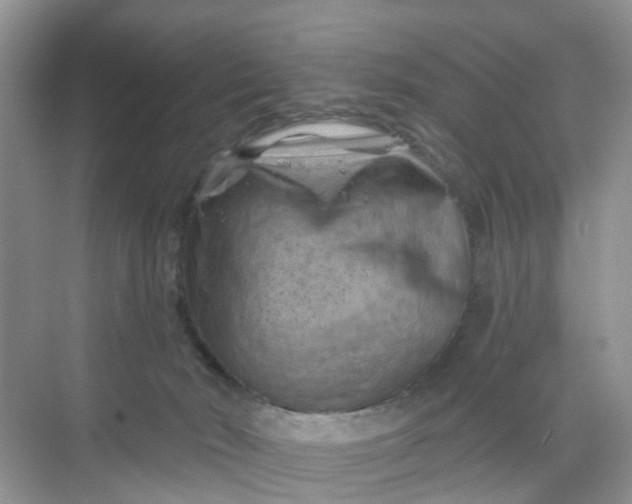 X0000068740030200605121555