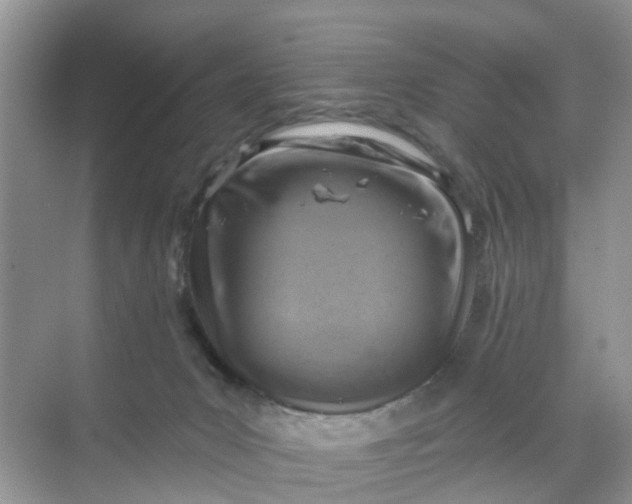 X0000068740031200605121555