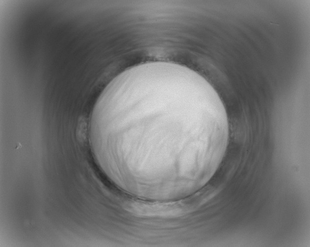 X0000068740036200605121555